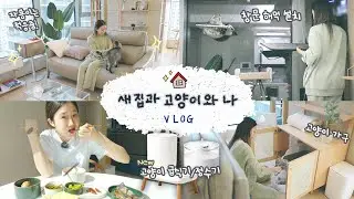 [샒의삶] 일상: 다음 생엔 자룡이로 태어나고 싶어지는 영상 / 새 집에서 적응중인 고양이와 나 VLOG / 새로 생긴 고양이 물품 모두 소개&언박싱!