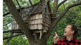 I Built a Tree House Using Only Free Pallets