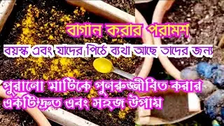 Garden tips for elderly and those who has back pain A quick and easy way to revitalise your old soil