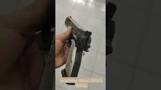 THE CZ TS2 SILVER