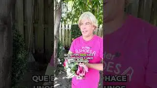 27 de octubre de 2025