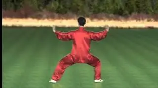 孫式太極拳背向演練