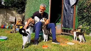 Caring for street cats in the cold autumn season