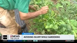 Doctors provide tips to prevent gardening injuries