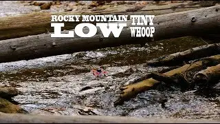 Rocky Mountain Low - Tiny Whoop - Cruising over water and Log Jam Weaving