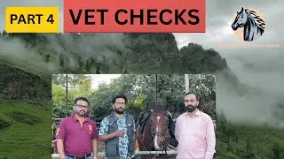 Vet check process before endurance