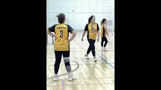 Bee Incrediballs Vs Black Pink Daqs