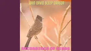 Melodic Birds