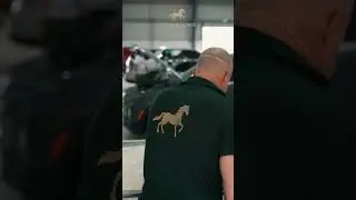 Car Repair & Service in Dubai - Golden Horse