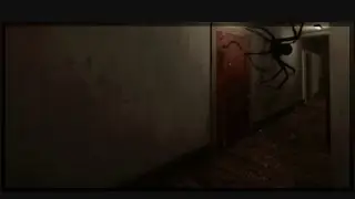Spiders Are LURKING EVERYWHERE
