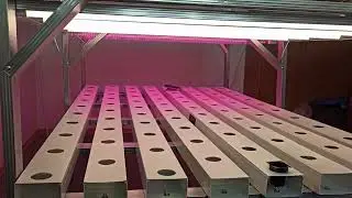 САЛАТНАЯ ЛИНИЯ. NFT Wateringsystem installation