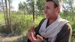 شاهد اللحظات الاولى لتشغيل عمود شبكة اتصالات - اشياء غريبة