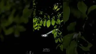 கண்கள் இரண்டால்உன் கண்கள் இரண்டால்...✨🥀🍃💌 | #moon2 #love#song #whatsapp #moon #subramaniapuram#tamil