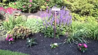 Vibrant & Full of Life - Landscaping from Mark Cordes & Sons