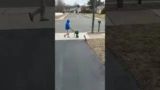 How to Properly Salt Your Snow
