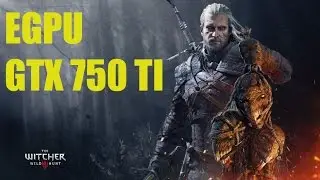 EGPU | The Witcher 3 | GTX 750 TI
