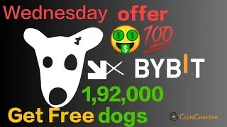 Earn 1,92,000 dogs from bybit! New Account Wednesday Offer.