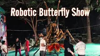 Robotic Butterfly Show at Kadri Park, Mangalore
