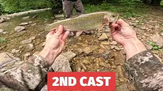 Fly Fishing Cranberry River for TROUT
