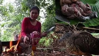 Survival Skills Cooking: Catching birds for food & Cook birds recipe eating delicious #17