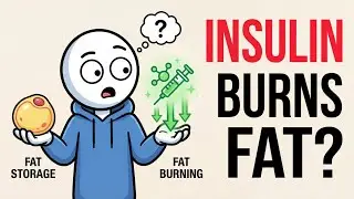 Insulin Is Blocking Your Fat Loss (99% People Get This Wrong)