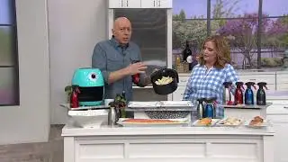 Evo 16 oz. Non-Aerosol Stainless Steel Oil Sprayer on QVC