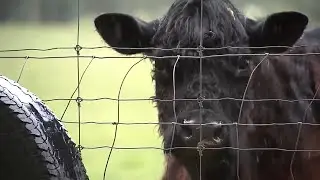 NJ family fights to keep farm from being seized by town