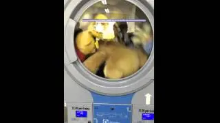 Electrolux T5300S drying soft toy