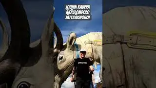 &Auml;k&auml;slompolon j&auml;ttil&auml;isporo! 6m korkea, 10m pitk&auml;! #akaslompolo #jouninkauppa #poro #lappi