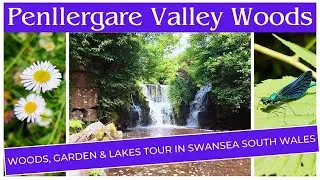 Penllergare Valley Woods Swansea South Wales Relaxing Walking Tour