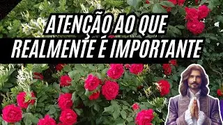 ATEN&Ccedil;&Atilde;O Ao Que &Eacute; Realmente Importante