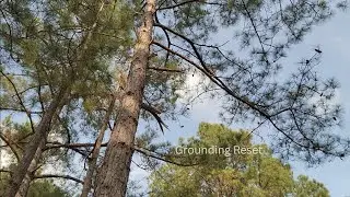 5-Minute Grounding Reset