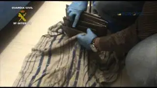 Gang of Mitsubishi car thieves disrupted