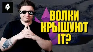 РЕАКЦИЯ: Фэйковые 300к НаноСеки//СЕО АЙТИШНИКИ | Волки сломали IT