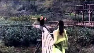 LYNX kung fu (Chinese comedy)