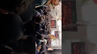 Mattam Dari Ali shah Pir Tando Adam 10 muharram ul Haram