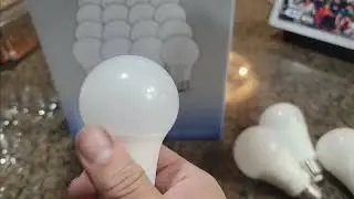 24 Pack A19 LED Light Bulb