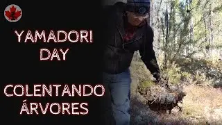 Yamadori Day, Coletando Árvores para Bonsai, Outubro 2020
