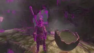 Skyrim Mod: ENB Binary 0.470 Wireframe Visualization