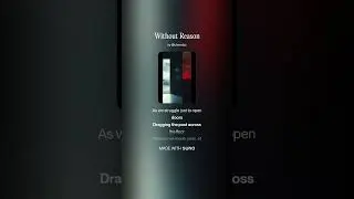 Without Reason