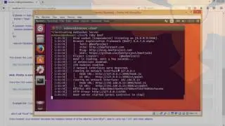 Web Vulnerabilities - Cross Site Scripting
