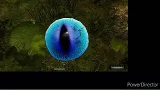 What happens when you eat elder shroom as elder? + funny reaction. Day of Dragons gameplay
