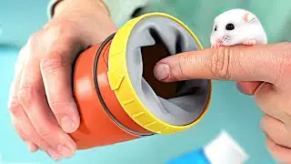 ¡ESTO ES LO QUE COMPRAMOS EN ALIEXPRESS!
