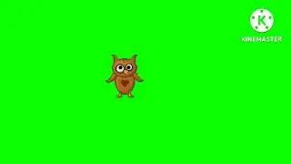 Green screen animation owl/Copyright free