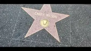 Carey Wilson Every Star Has A Story with Hollywood writer voice actor  producer HOLLYWOOD HAPPENINGS