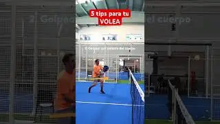 5 tips fundamentales para una VOLEA perfecta