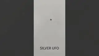 Silver Flying Saucers Captured On Camera Both Are Real Unidentified Flying Objects