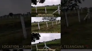 📍PEDDAPUR : 6.06 ACRES AGRICULTURE LAND FOR SALE 🔥 | AMANGAL | TELANGANA | Landsinindia.in #Shorts