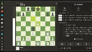 Chess Lessons - 17 | Openings, Middlegame, Endgame.