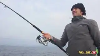 Tecnica di pesca dei tonni su mangianza spinning e light jigging